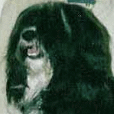 gotsi_portret.gif(20 kb)